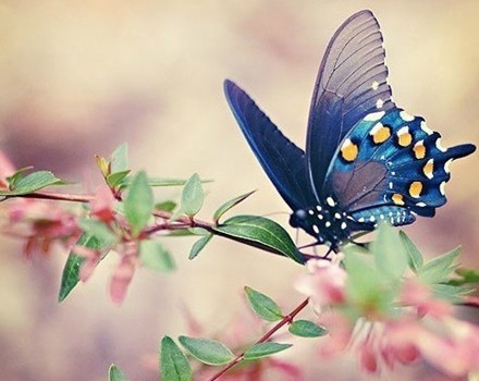 从磁带到CD，从MP3到智能音箱，音乐*放播**器暴露你的年龄