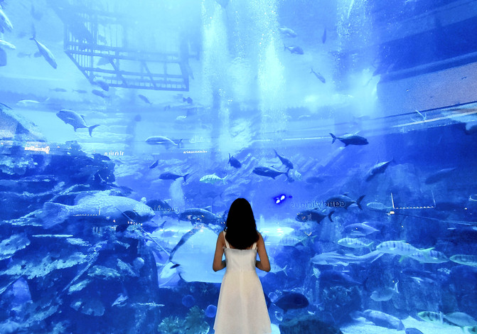 带你看不一样的迪拜,带你感受不一样的迪拜