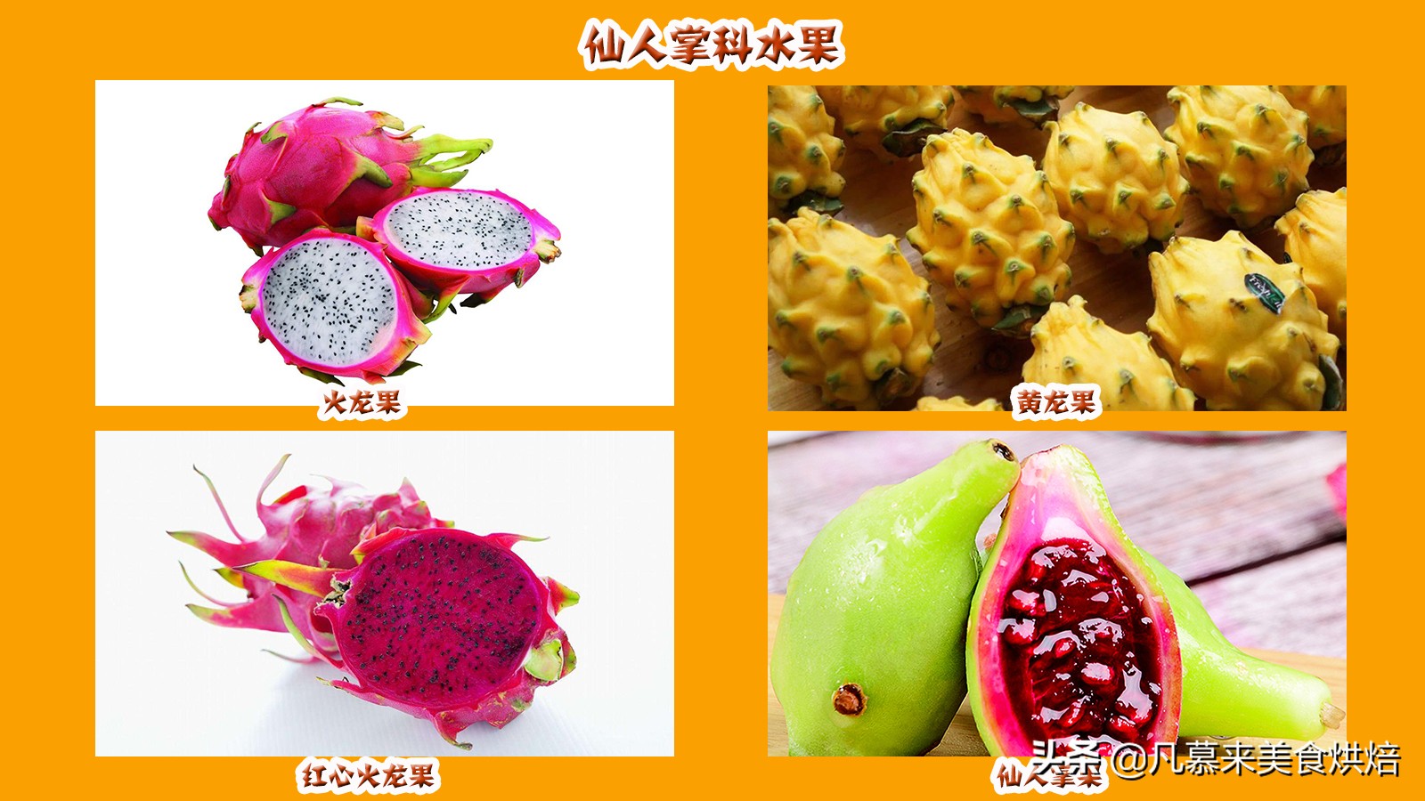 水果百科知识大全水果种类,水果种类大全水果如何分类