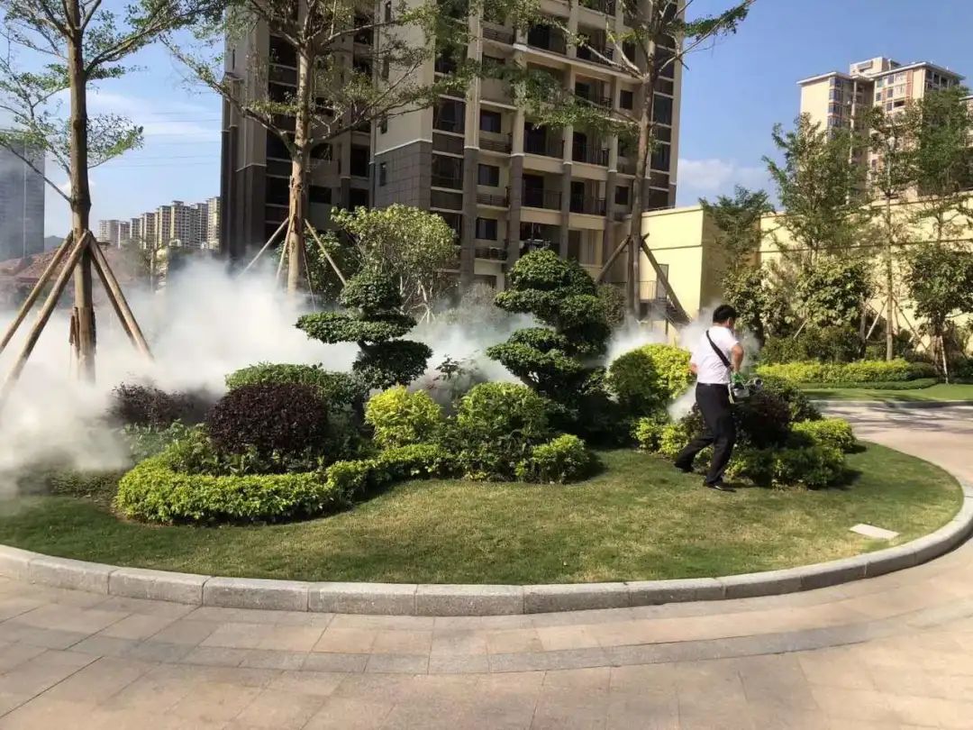 惠州惠城哪个社区最美,惠州市十佳小区