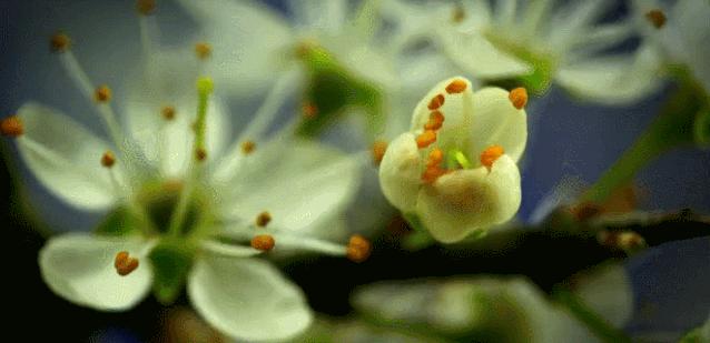 好书大家读推荐会,好书大家读活动主题