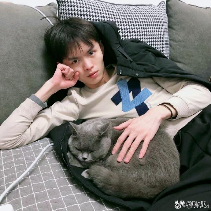 *牙虎**包子用猫来直播,打出21杀吃鸡战绩,粉丝表示要继续看猫!