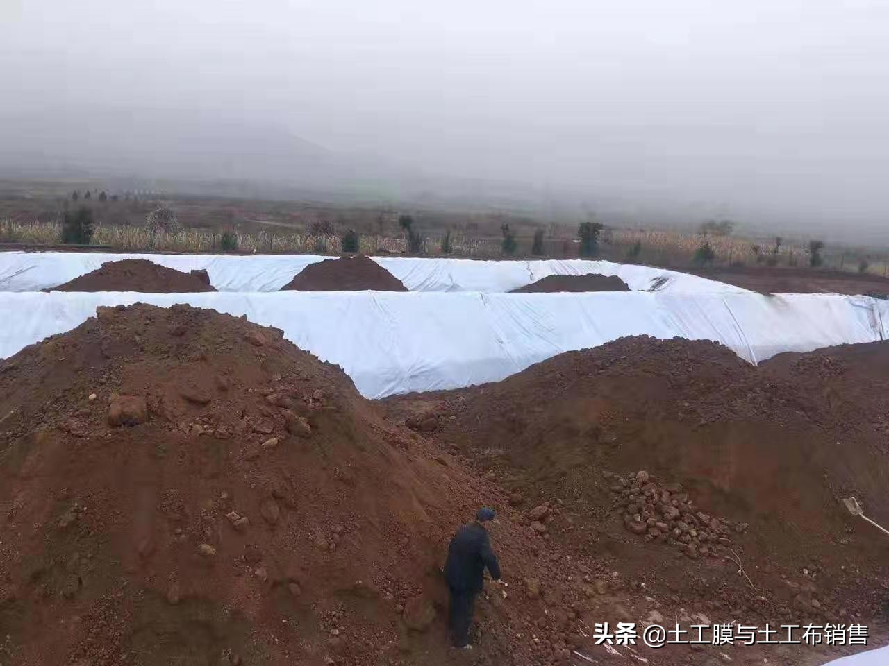 莲藕产业经济效益高的栽培模式-莲藕专用膜的投入与使用