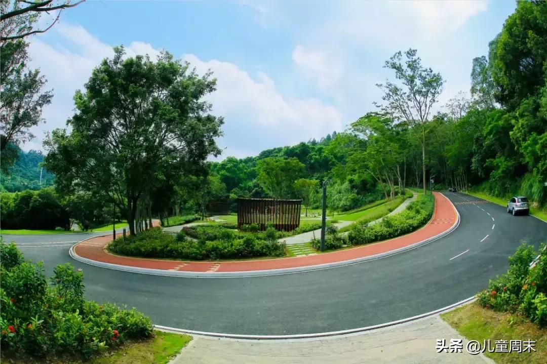 淘金山绿道晚上图片,淘金山绿道深圳罗湖网红