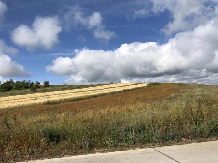 张北草原天路两日游攻略图片,丰宁坝上草原天路和张北草原天路