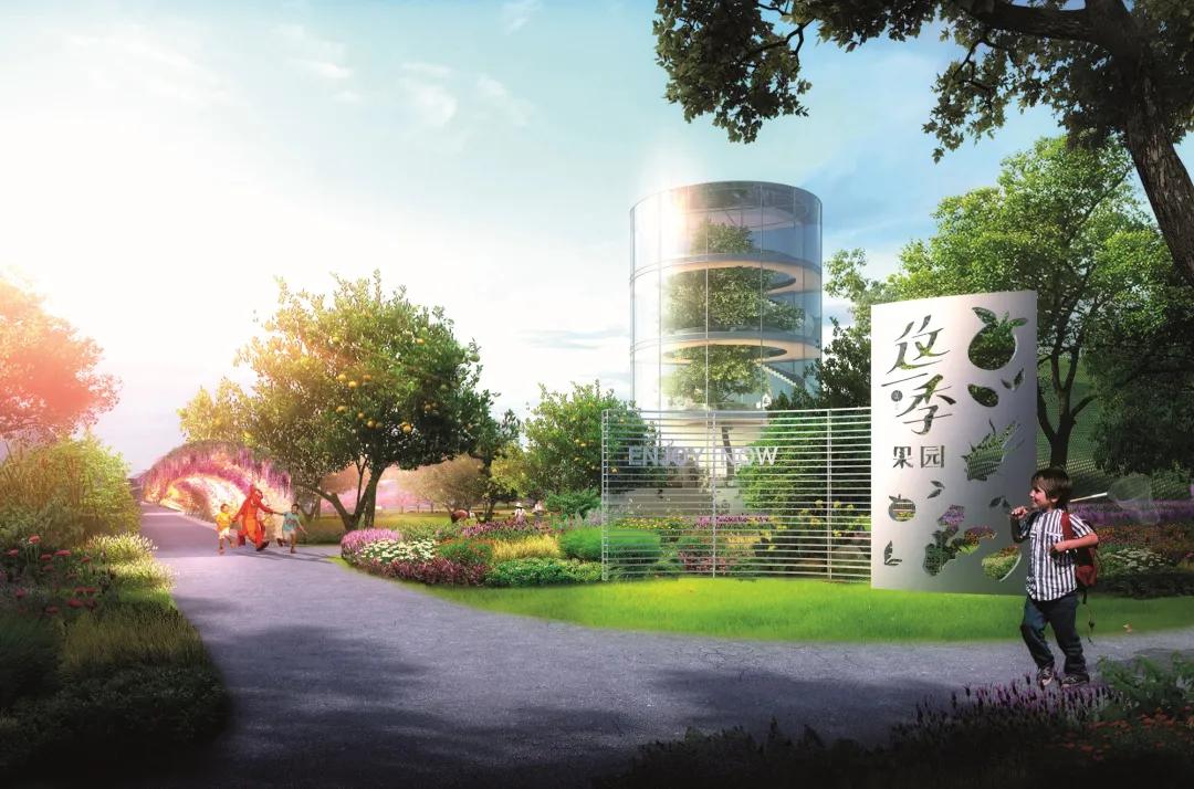 封面故事|嘉善共青团：做共同富裕的青春先行者