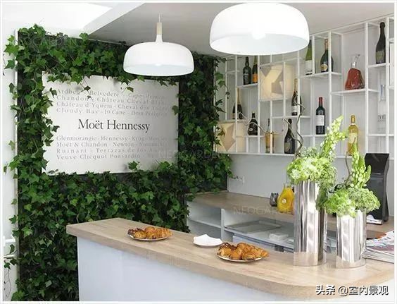 植物花园墙,植物墙与永生植物墙不同