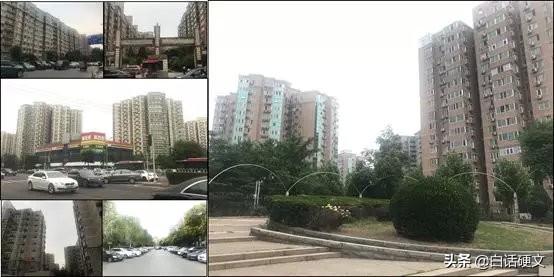 不想将就也不想委屈自己,不想将就不甘心