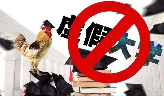 为什么查询不到学历,学历怎么查询不到