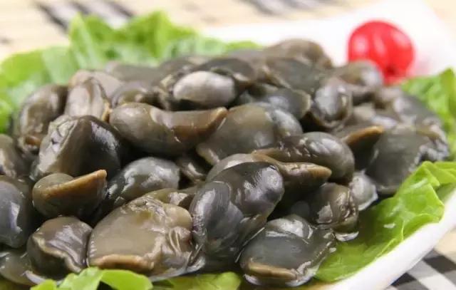 史上最全海鲜视频,史上最全海鲜贝类大全