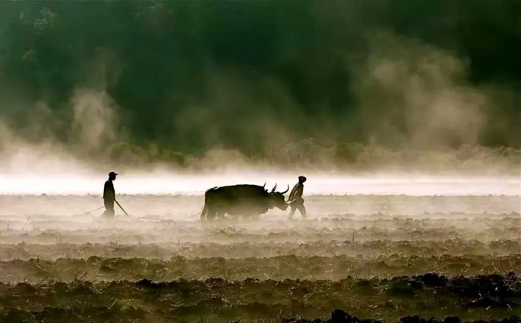 牛肉汤米线视频,牛肉汤酸浆米线