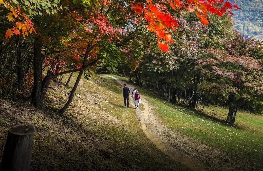 假期逛景区一大波优惠等着您,景点优惠活动视频