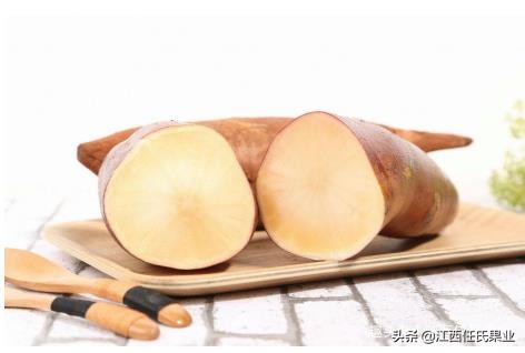 雪莲果为什么有松树的味道,为什么雪莲果的汁水是黑色的