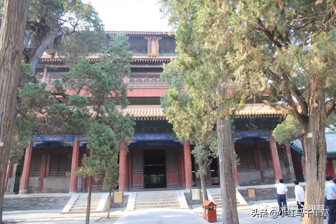 曲阜孔府孔庙孔林历史背景,曲阜孔府孔庙孔林一游