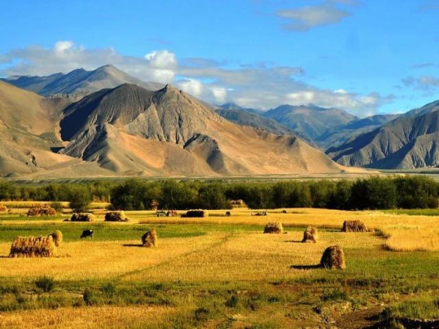 珠峰儿女心向党重播,珠峰儿女心向党