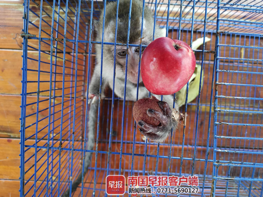 鏉戞皯瀹朵腑鍙戠幇璇″紓鐜拌薄,鏉戞皯瀹朵腑鍙戠幇璇″紓浜嬩欢