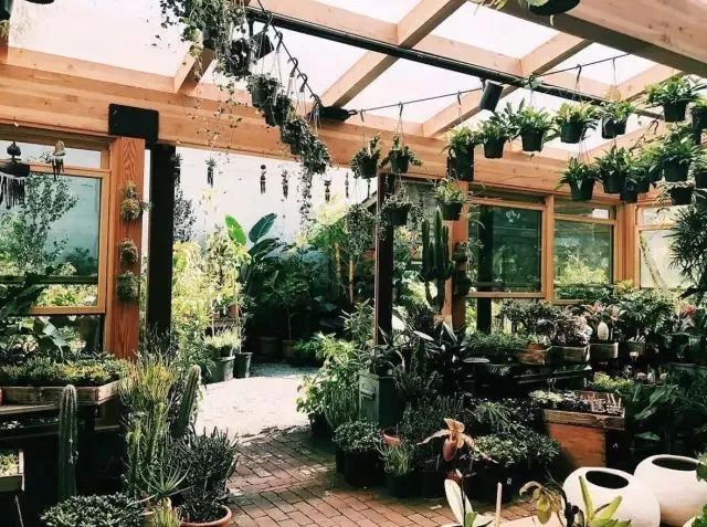 开一家植物美学小店,开一家属于自己的花店