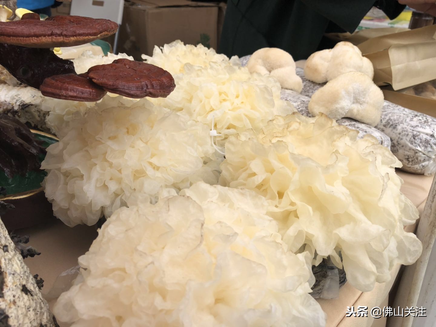 广东佛山庙会开锣,佛山热闹