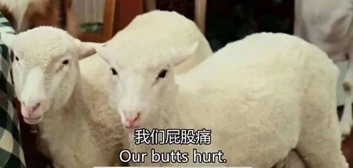 用气枪误伤同事,用气枪打猎物同伙会被判多少年