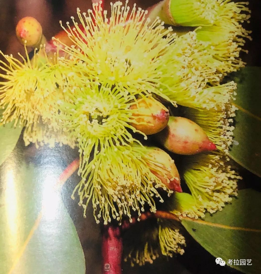 大地的恩赐图片,大地的馈赠是大天域吗