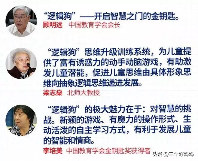 逻辑狗儿童思维训练3-4岁,德国逻辑狗思维训练的好处