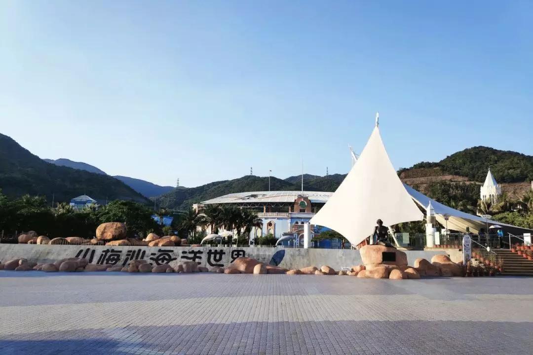 再见老兵网红,深圳老网红