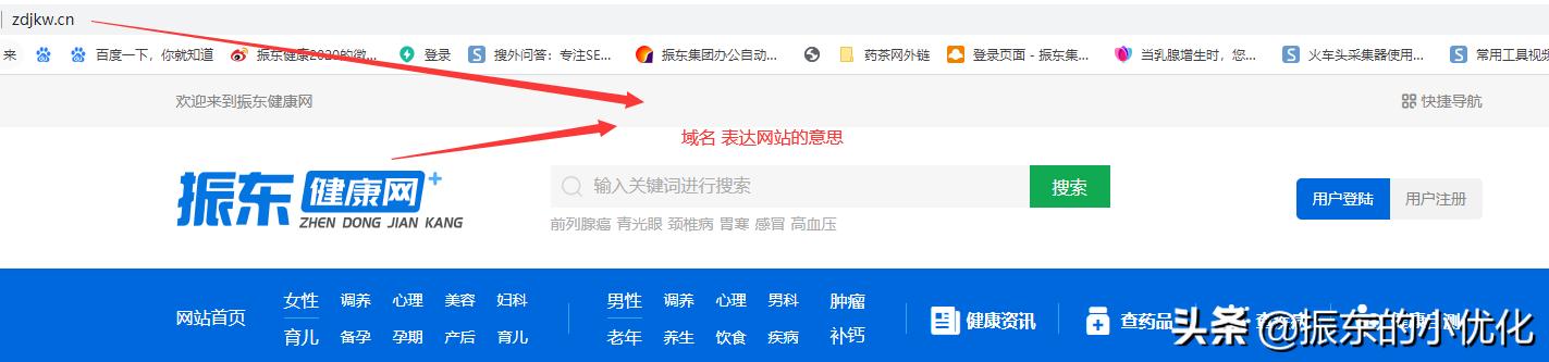 怎么知道域名有没有解析成功呢,不懂怎么进行域名解析