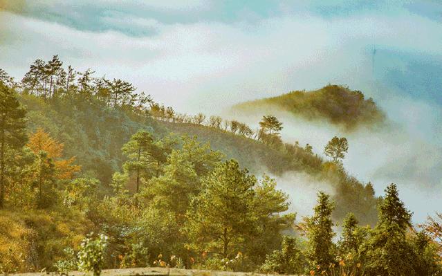 余姚阳明温泉山庄周边景区,浙江余姚西山景区