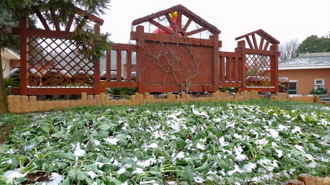昆明市a级旅游景区有哪些,昆明旅游4a级景区有哪些