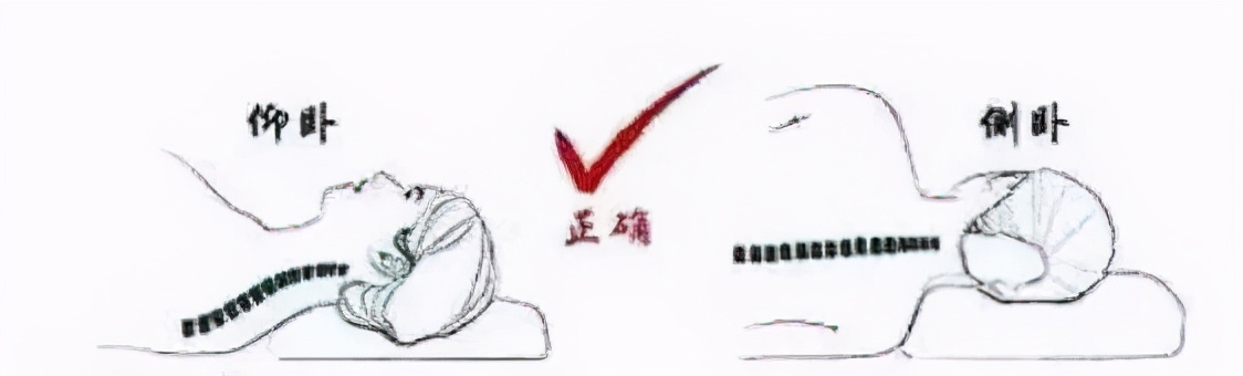 羽绒枕头和荞麦枕哪个好,五星级酒店用的羽绒枕还是蚕丝枕