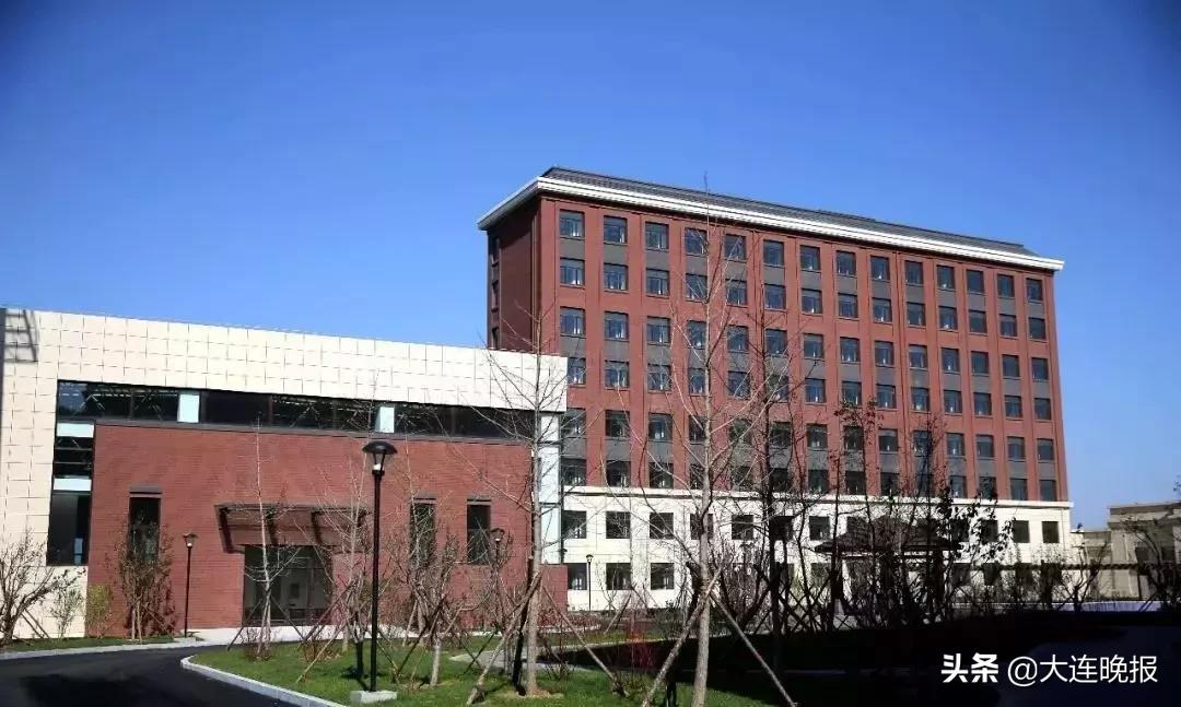 3万人足球场,大连人工草坪足球场