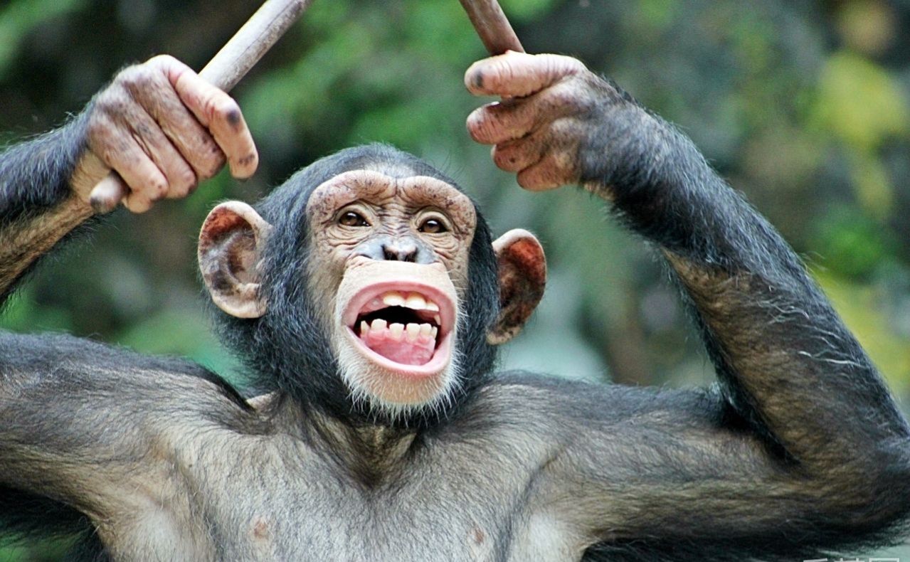 2021年一建法规葵花宝典7月讲义,完整版葵花宝典有多厉害