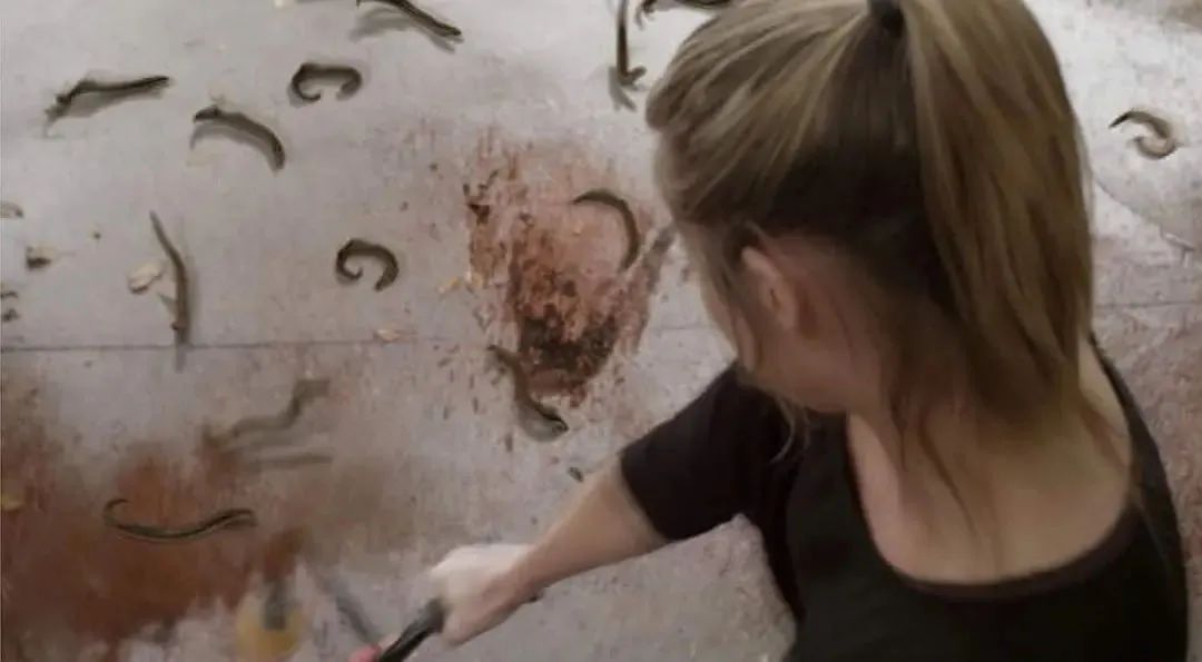 鳗鱼钻入人体的恐怖片名,鳗鱼入侵城市的电影