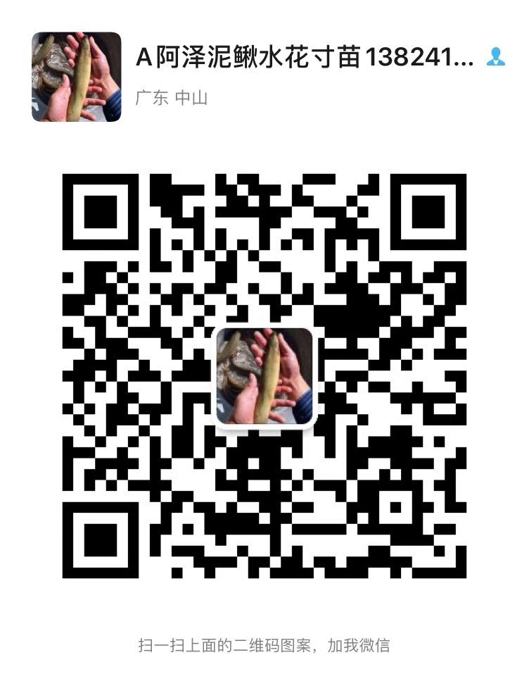 泥鳅的养殖技术方法和注意事项,泥鳅的养殖技术要怎样养殖最好呢