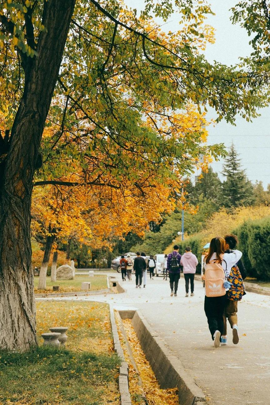 “你在看什么?”“兰大的烟火气”