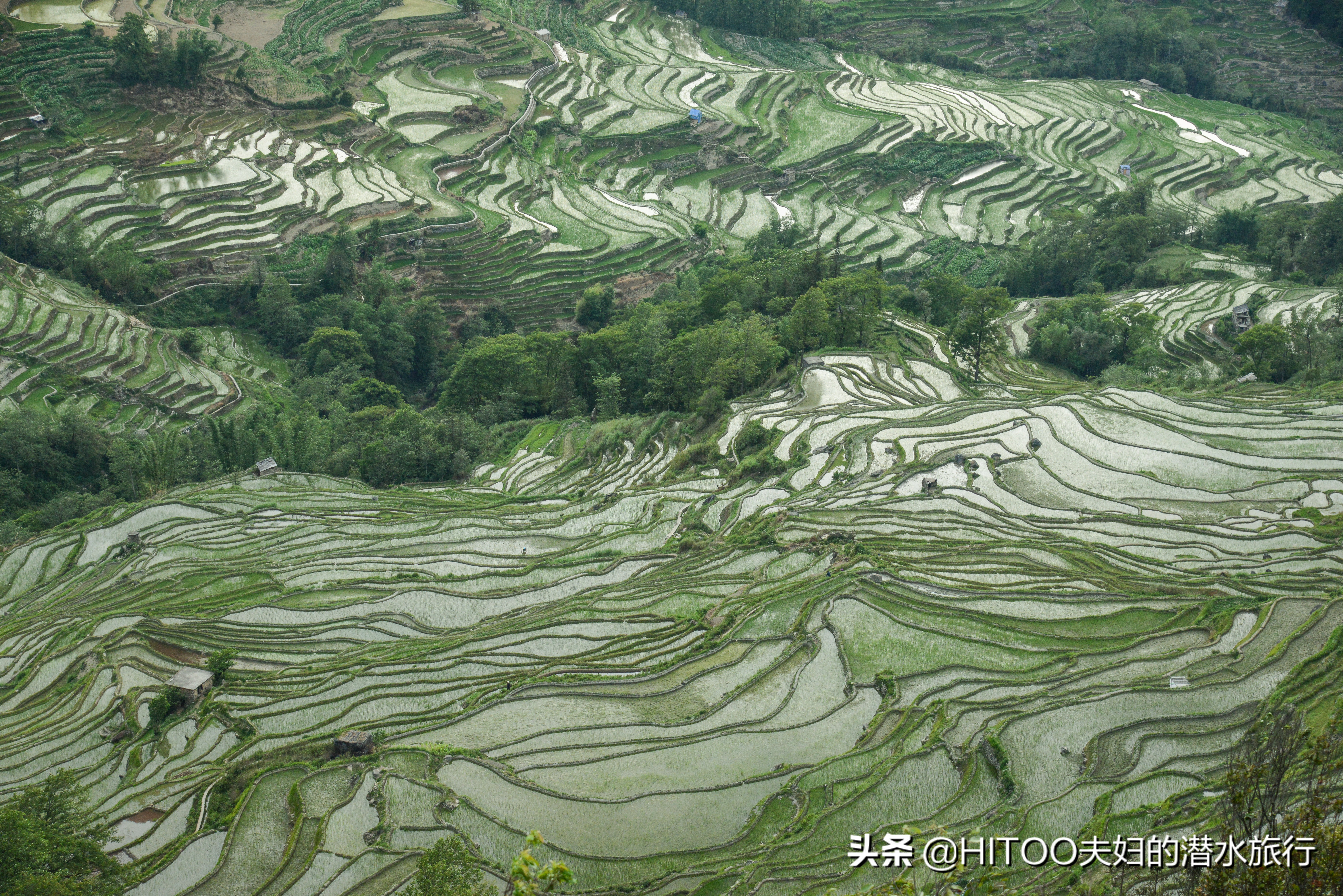 不花钱看元阳梯田自驾攻略,元阳梯田自驾游攻略