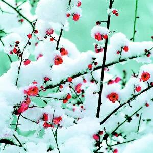 平凡的世界心得体会笔记,读平凡的世界读书笔记