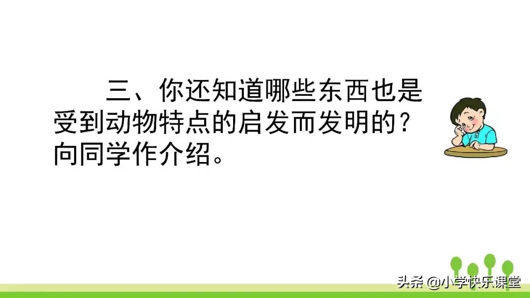 四年级上册语文蝙蝠和雷达课后题,部编版四年级上册语文蝙蝠和雷达