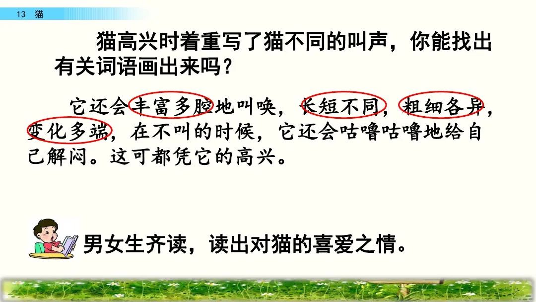 四年级下册语文13课猫课文解析,部编版四年级下册13猫教学视频