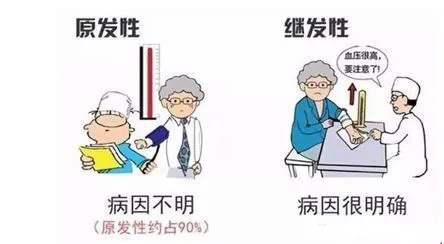 高血压不用药物能治疗吗,高血压微创非药物疗法