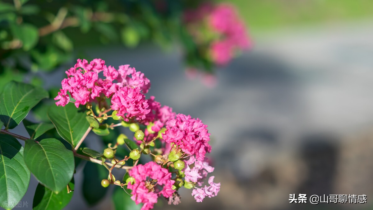 当你感到绝望的时候来听听这首歌,当你觉得绝望的时候该怎么办