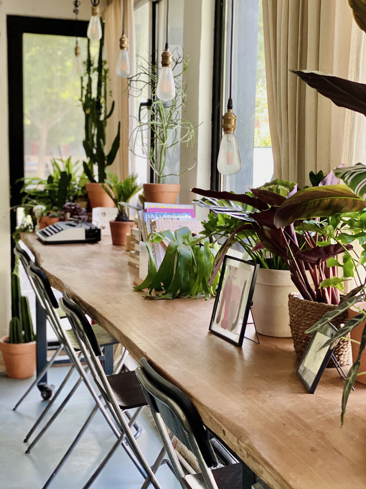 撸动物的网红店顺德,撸小动物的网红店北京世纪金源