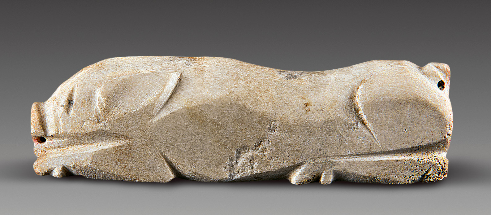 生肖猪的风俗及寓意,生肖猪的民俗与科学文化艺术