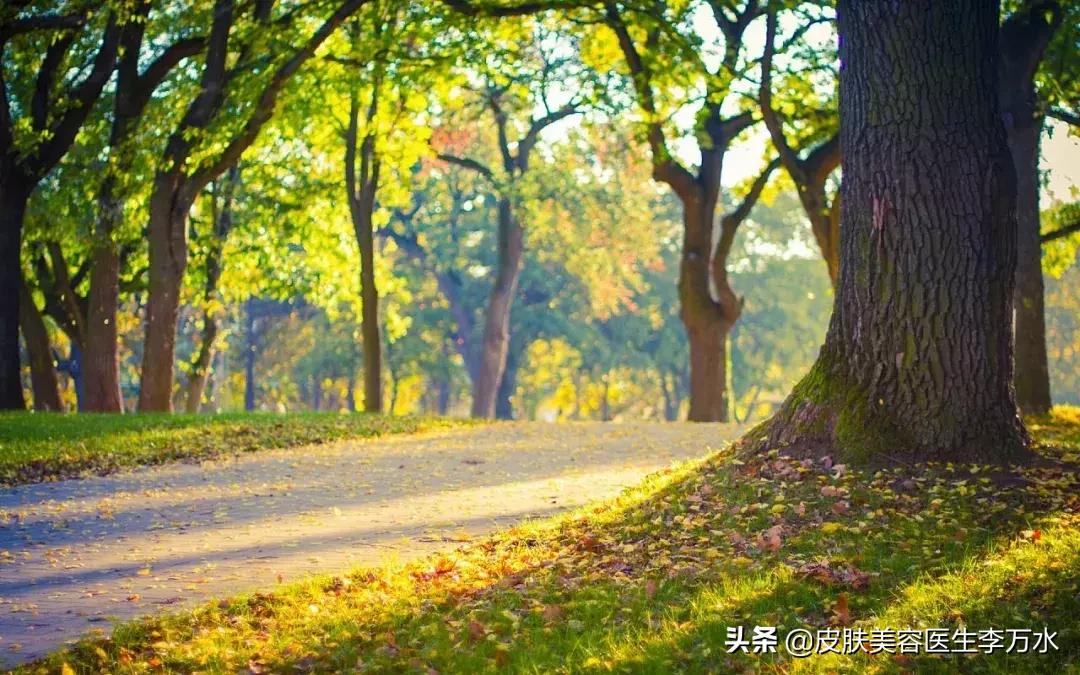 太阳光是uva还是uvb,太阳的紫外线是uvb吗