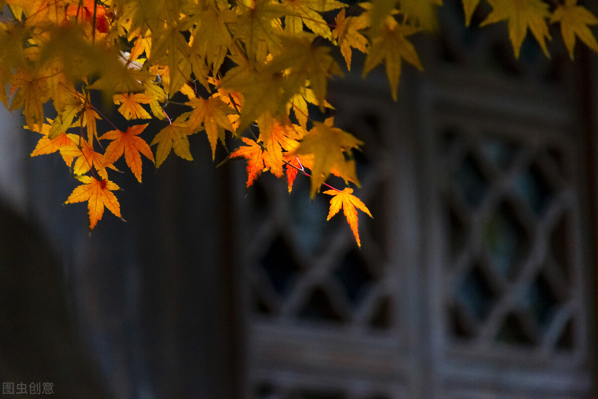 道德经80章完整解读,道德经第36章的处世之道