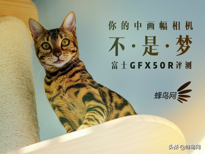 富士中画幅gfx50r测评,富士gfx50sii与50r的区别