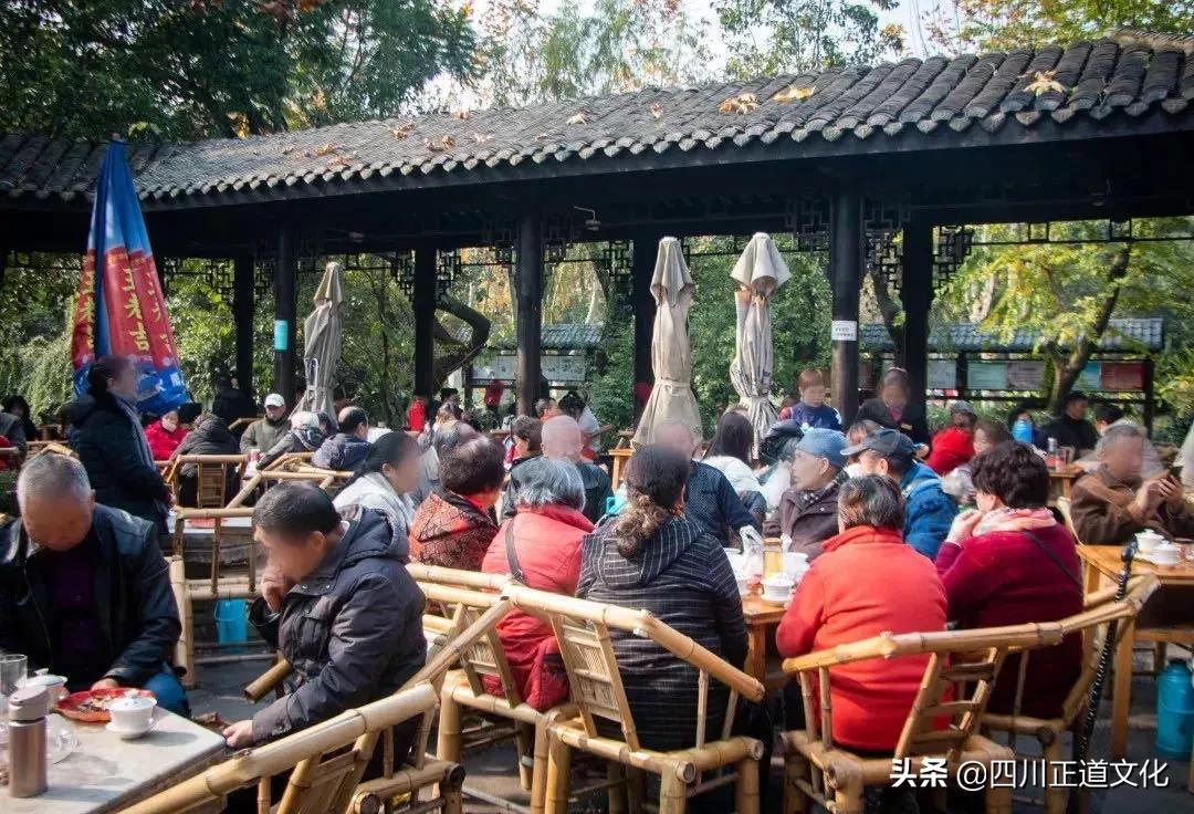 趣谈人的智慧,趣谈重庆