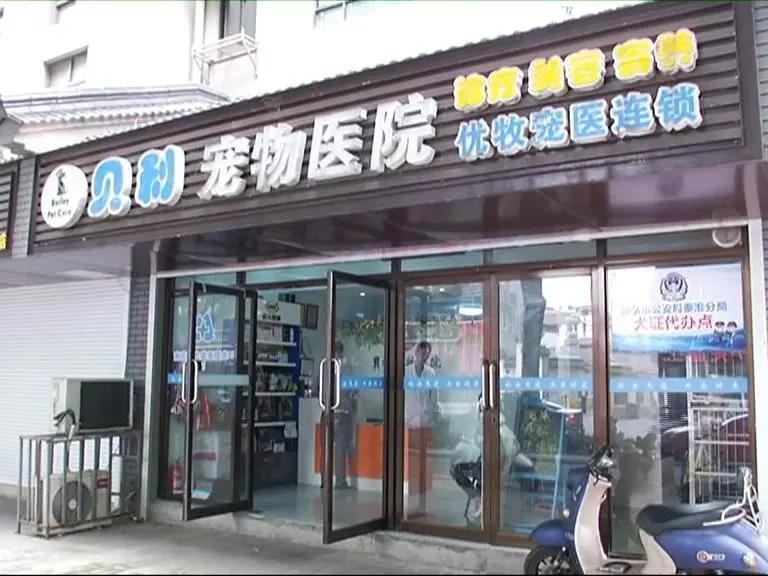 寄养“恶霸”离奇暴毙，医生说，可能是热的……