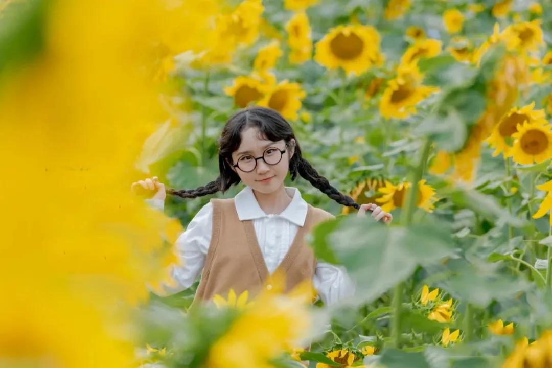 向日葵花海景点成都双流,双流周边向日葵景区在哪里