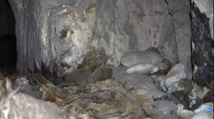 一夜之间消失的神秘王国,一夜消失的神秘古国王朝